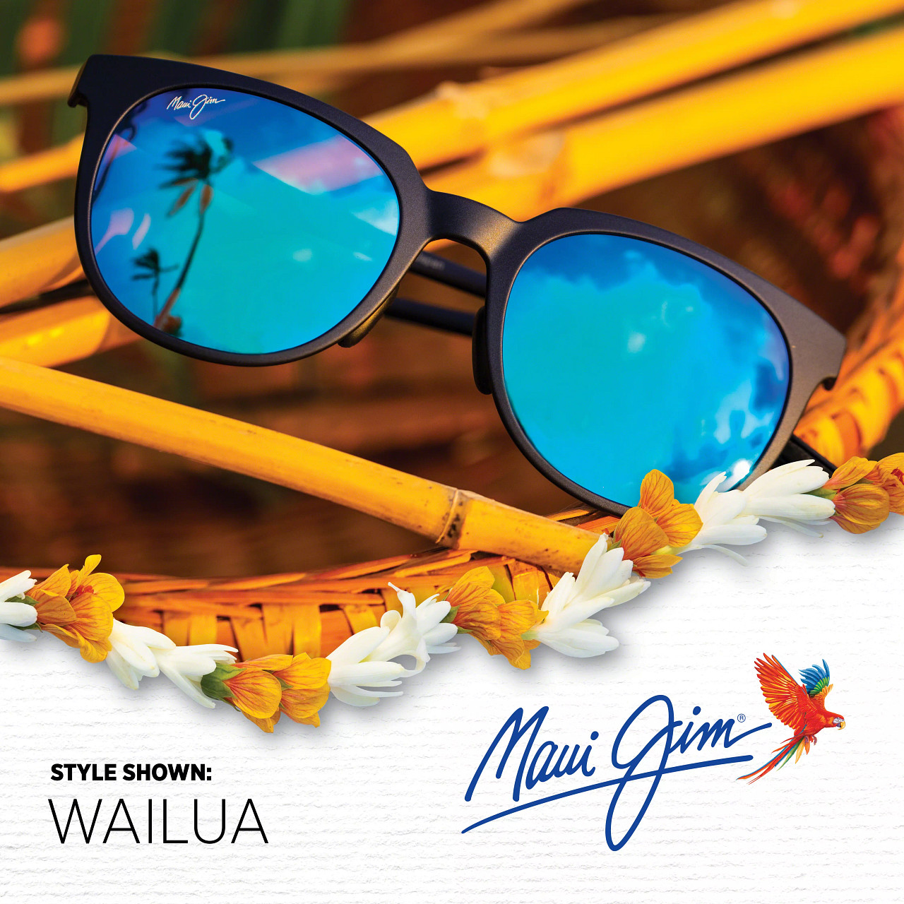 Maui jim clearance company