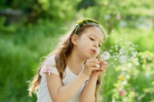 girl blowing dandelions flower selective focus. Allergy season